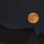 Apa itu Harvest Moon?