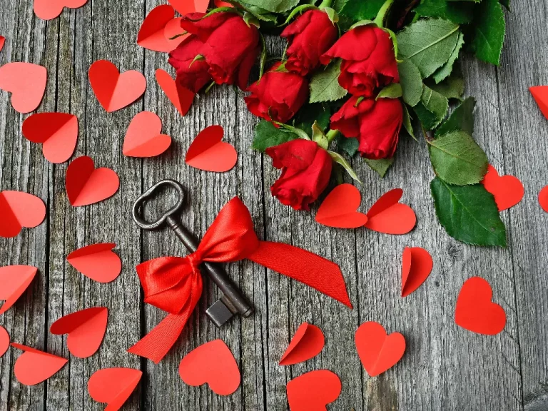 12 Fakta Romantis Tentang Mawar Merah