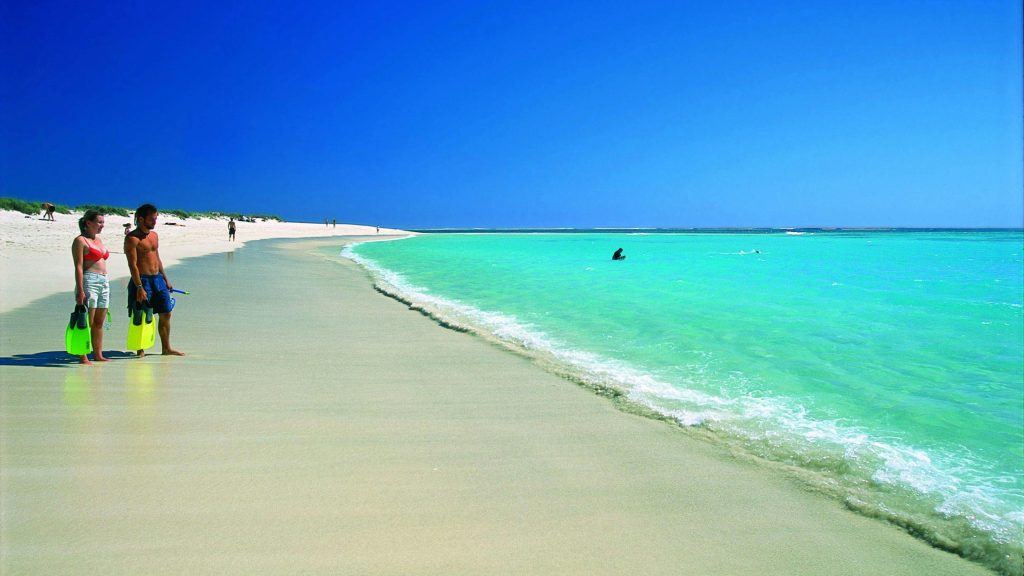 Fakta Menarik tentang Keindahan Ningaloo Coast