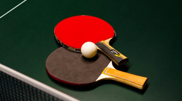 Tenis Meja, Olahraga Cepat dan Penuh Strategi