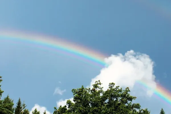 Mengapa Pelangi Bewarnawarni? Rahasia Cahaya Matahari dan Tetesan Air